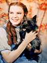 Judy Garland as Dorothy with her dog Toto