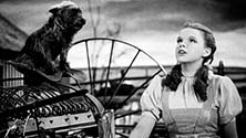 Judy Garland and Toto before the twister