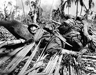 South Pacific War